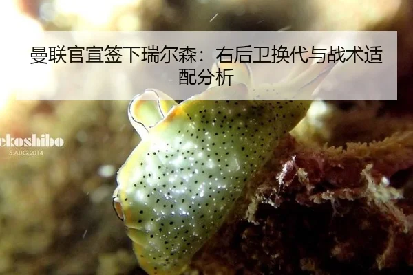 man-lian-guan-xuan-qian-xia-rui-er-sen-you-hou-wei-huan-dai-yu-zhan-shu-shi-pei-fen-xi-2-860.jpg